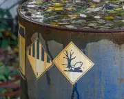 Fast-Track Regulation Could Expose Britons to Harmful Chemicals, Campaigners Warn
