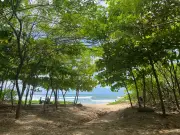 From barren shores to green oases: transforming Costa Rica's coastline