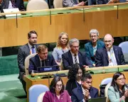 Germany's UN Security Council Loss Sparks Political Soul-Searching