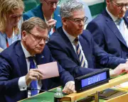 Germany's UN Snub May Cost the Organization Dearly