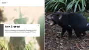 Gold Coast theme park closes after Tasmanian devil vanishes