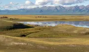 Grass Fails to Grow as Permafrost Thaws in Mongolia's Changing Ecosystem