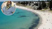 Greek Tourist Told He May Never Walk Again Defies Odds After Perth Beach Accident