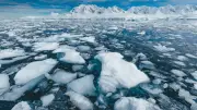 How Waves, Ponds and Green Algae Speed Up Antarctic Sea Ice Melt