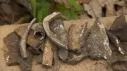 Human remains found in backyard turn out to be historical teaching skeleton