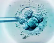 IVF Scandal in Cyprus: TV Investigation Exposes Shocking Truths