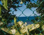 Jamaica Beach Access Fight: Court Battle Over Coast Privatisation