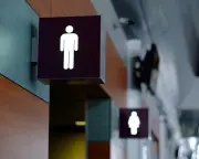 Labour MPs Question Practicality of EHRC Guidance on Biological Sex Ruling