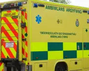 Major Incident Declared After Bus Crash in West Wales Leaves 26 Injured