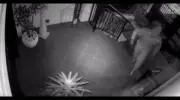 Man charged with murder after Gold Coast shooting; CCTV released of Sydney machete attack