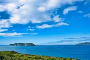 Man critically injured in shark attack off Western Australian coast near Albany