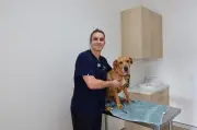 Mandurah's First 24-Hour Emergency Vet Hospital Opens July 6