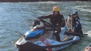 Marine Rescue NSW Volunteers Save Stranded Dog from Snapper Island Near Batemans Bay