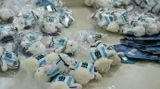 Messi Plushies Roar as China Firms Cash In on World Cup Fever