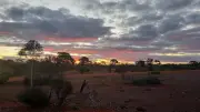 Meteorite Impact May Have Rained Gold on Western Australia