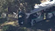 Multiple Injured in Perth Bus Crash into Tree on Joondalup Dr