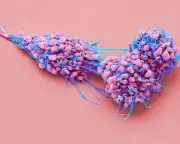 New ovarian cancer drug Elahere approved for NHS use in England