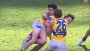 North Melbourne's Paul Curtis loses tribunal appeal for three-match suspension