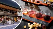 Northbridge to Get First Microbrewery Where Patrons Make Their Own Spirits