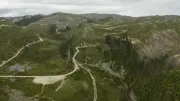 NZ Forestry Rules: Consistency vs Environmental Risk