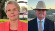 One Nation Overtakes Labor in Poll, Plibersek Demands Policy Clarity
