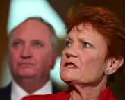 One Nation Polls Like Major Party, But Policy Stumbles Show Immaturity