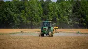 Paraquat and Parkinson's: Evidence Shows No Clear Link Despite Toxicity Concerns