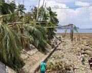 Philippines Quake Raised Seabed by 2 Metres, Killing Marine Life