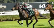 Pin Up Sheila aims to back up debut win at Warwick Farm