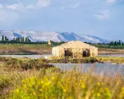 Pink Flamingos and Lemon Groves in Sicily's Vendicari Reserve