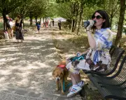 Pregnant Woman Survives Record Paris Heatwave