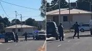 Qld Police Defend Shooting Injured Dog After Patrol Car Accident