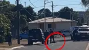Qld Police Defend Shooting Pet Dog After Running It Over in Mount Isa