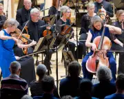Quarter of UK musicians lost all EU work since 2021, report finds