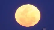 Rare Blue Micromoon to Illuminate Australian Skies on Sunday