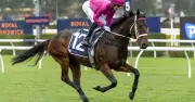 Rosehill Races Tips and Preview for Saturday June 13