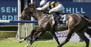 Rosehill Racing Tips: King Pedro Highlight in Ranvet Stayers Cup