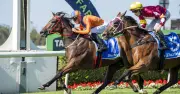 Royal Randwick Tips: Best Bets for Saturday Racing on June 6
