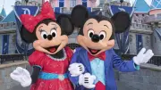 SA doctors used $23k watch, Disneyland trips on taxpayer fund
