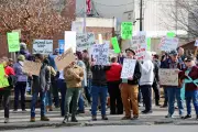 Scientists Fight Back Against Trump's Proposed Research Grant Cuts