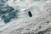 Seaspray and Foam Likely Source of Toxic Pfas on Remote Fair Isle