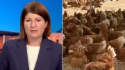 Second Seabird Tests for H5 Bird Flu in Australia's Mainland