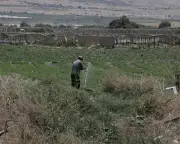 Settler Goods from Occupied Palestine Sold in Europe: Investigation