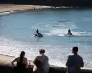 Shark attack at Coogee beach leaves woman critical, beaches closed