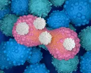 Smart Drug Strips Cancer of Invisibility Cloak, Shrinks Tumours by 30%