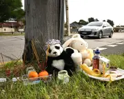 Sydney Mother's Anguish After Children Killed in Cabramatta Pram Crash