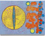 Terry Winters Review: Flashes of Magic in Patterns Science Can't Explain