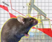 The Crunch: Aussie Musicians Decline, Mouse Plagues, and Oil Drilling