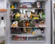 To fridge or not to fridge: tell us your views on food storage
