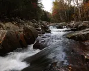 Trump administration aims to scrap Roadless Rule protecting 58 million acres of national forests